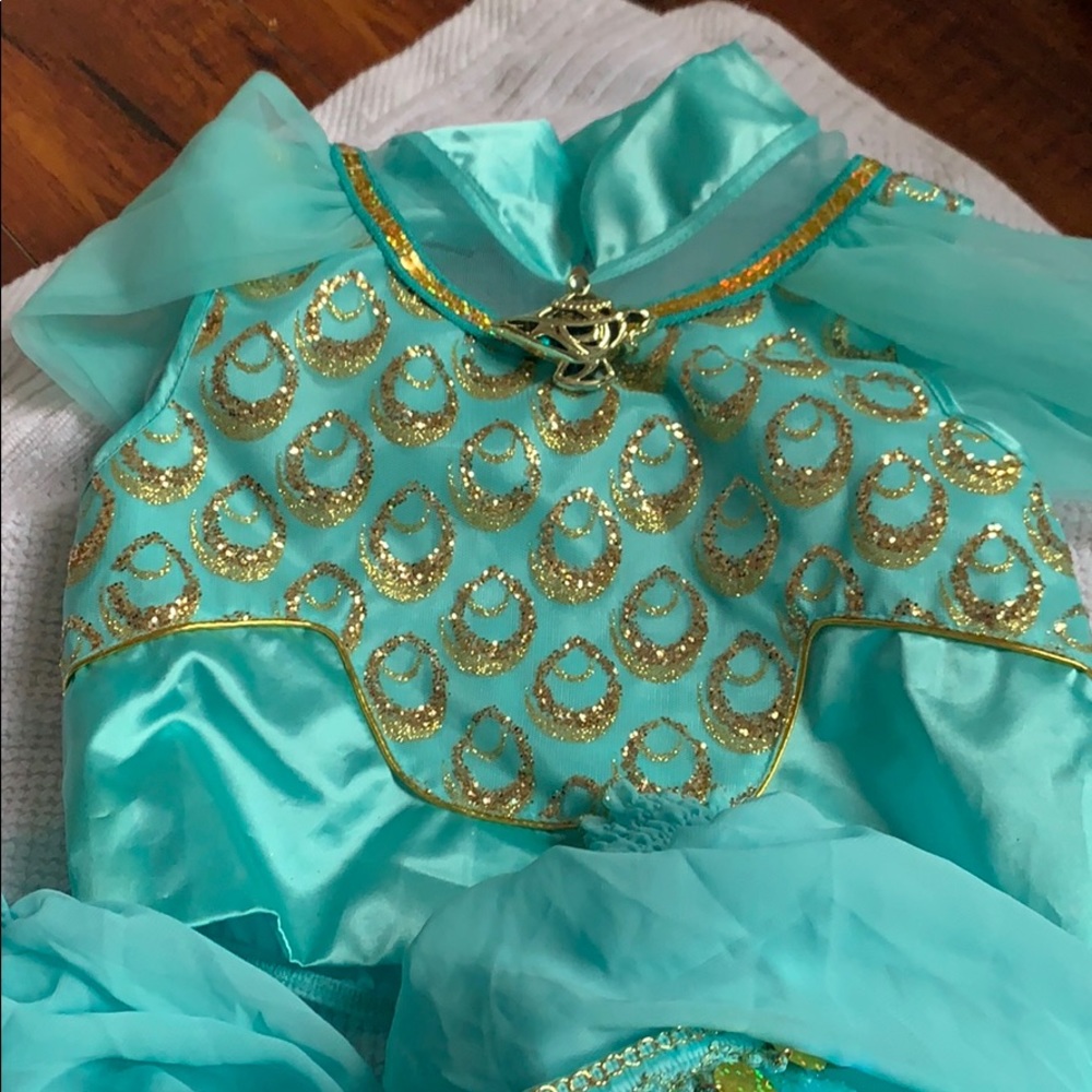 Disney Jasmine costume